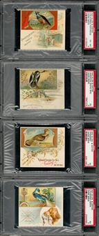 1890 N40 Allen & Ginter "Game Birds" Large Cards Collection (17 Different) - #3 on the PSA Set Registry! 